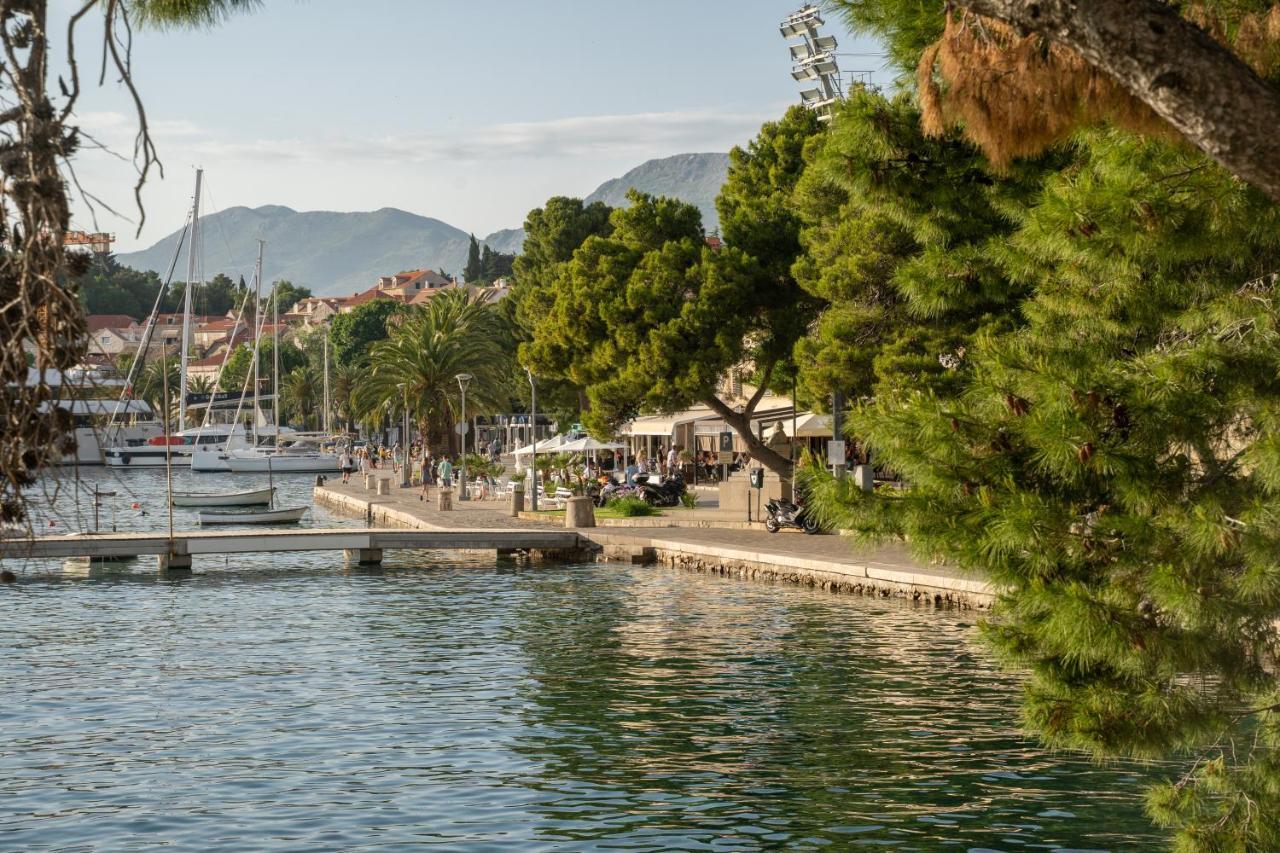 Studio Apartment Jeli Cavtat Εξωτερικό φωτογραφία